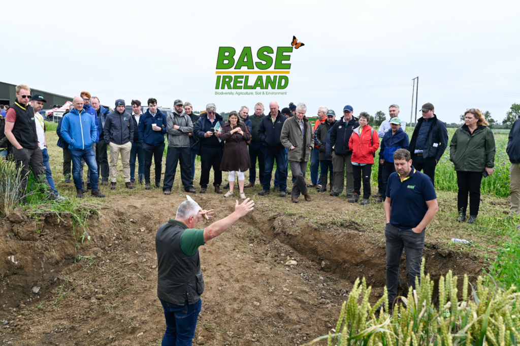 ffn festival base irealdn deep dive sessions