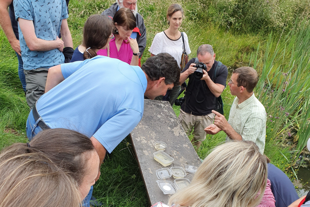 ffn festival programme 2