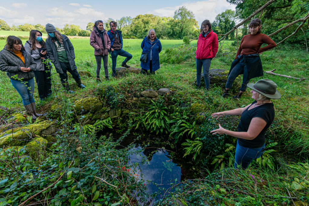 ffn festival programme 3