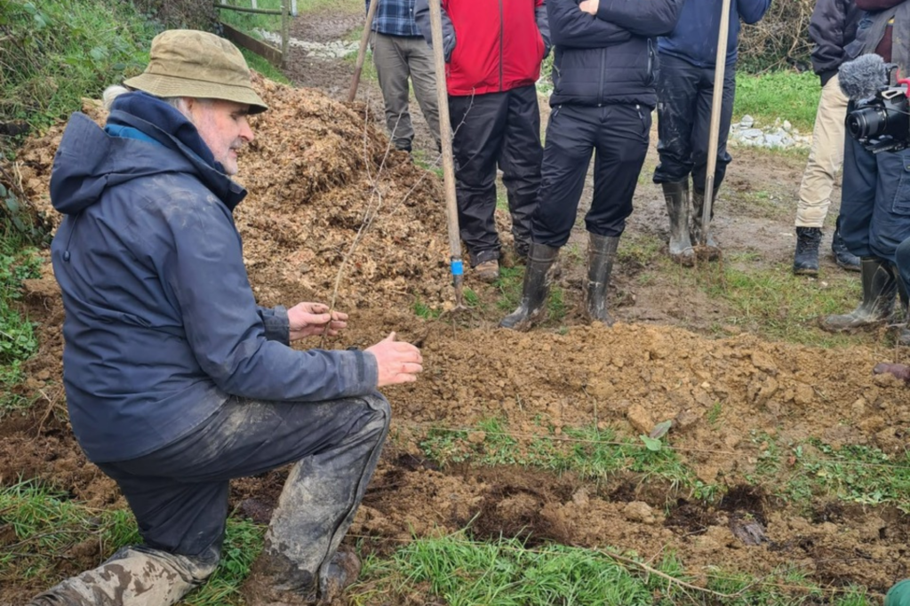 ffn festival programme 6