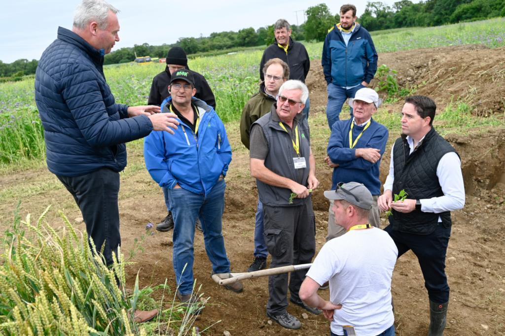 ffn festival key partner base ireland 5