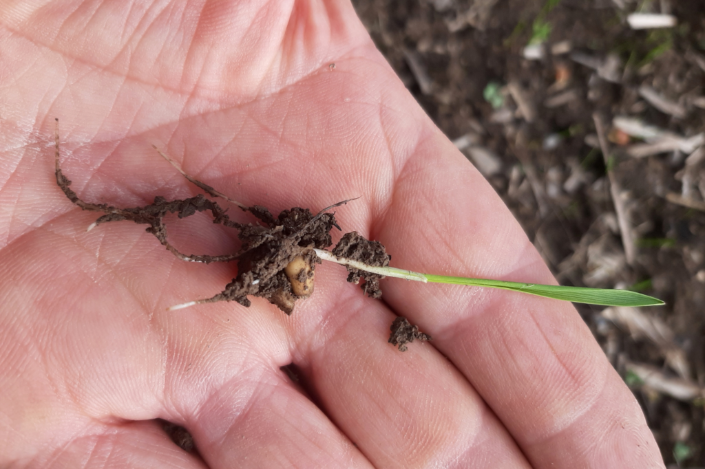 ffn festival key partner base ireland 9