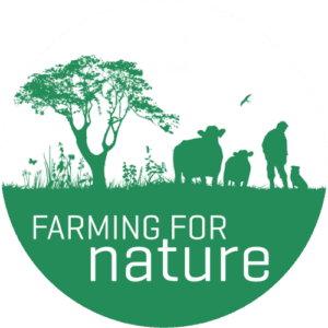 ffn logo.png