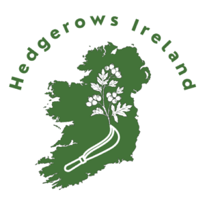 ffn logo + festival partners & funders