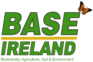 fff festival partner base ireland.png