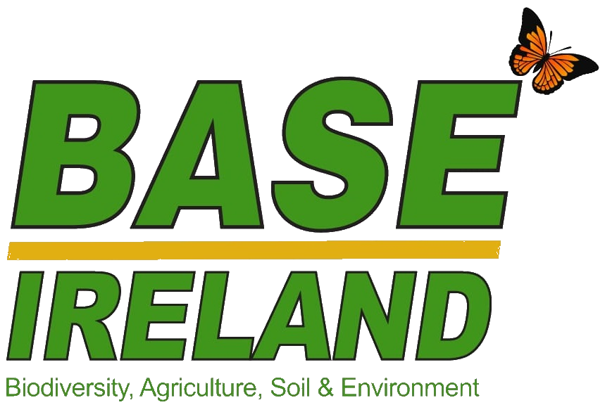 fff festival partner base ireland.png