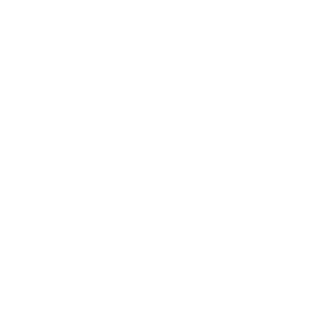 white circle