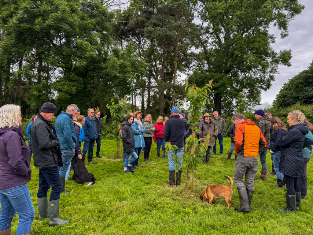 ffn festival 2026 people listened