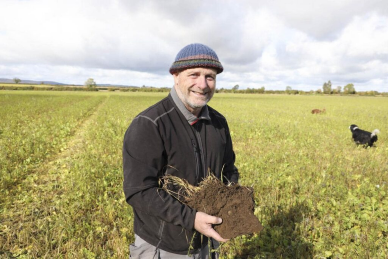 ffn festival speaker andrew bergin