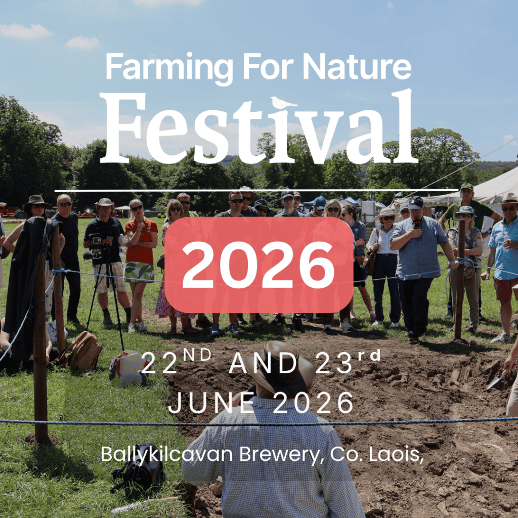FFN Festival Cover -2026