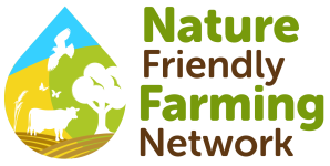 [co] nffn logo