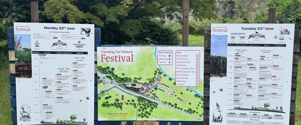 FFN Festival 2026 - 3