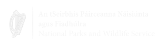 ffn logo + festival partners & funders (1)