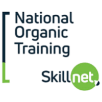 ffn logo + festival partners