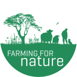 ffn logo